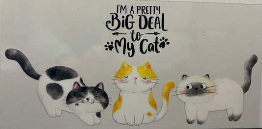 Big deal to my cat